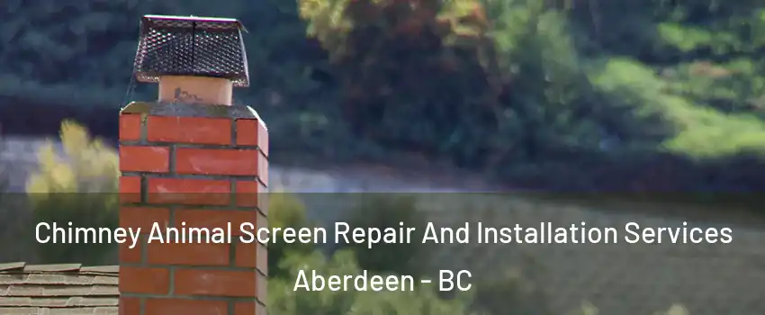 Chimney Animal Screen Repair And Installation Services Aberdeen - BC