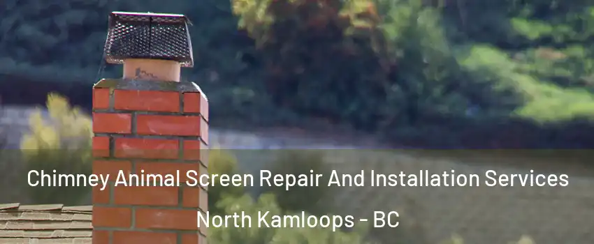 Chimney Animal Screen Repair And Installation Services North Kamloops - BC