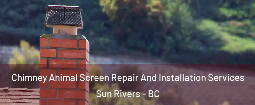 Chimney Animal Screen Repair And Installation Services Sun Rivers - BC