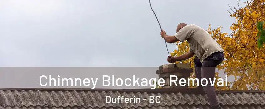 Chimney Blockage Removal Dufferin - BC