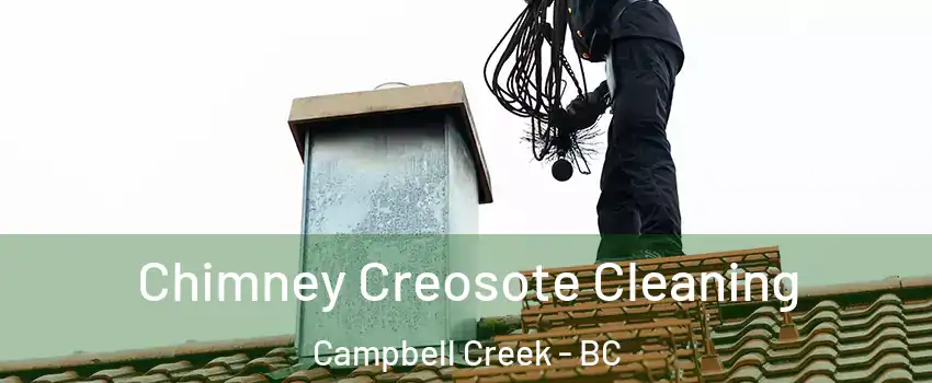 Chimney Creosote Cleaning Campbell Creek - BC