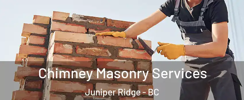 Chimney Masonry Services Juniper Ridge - BC