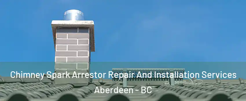 Chimney Spark Arrestor Repair And Installation Services Aberdeen - BC