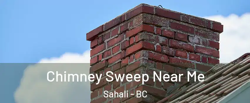 Chimney Sweep Near Me Sahali - BC