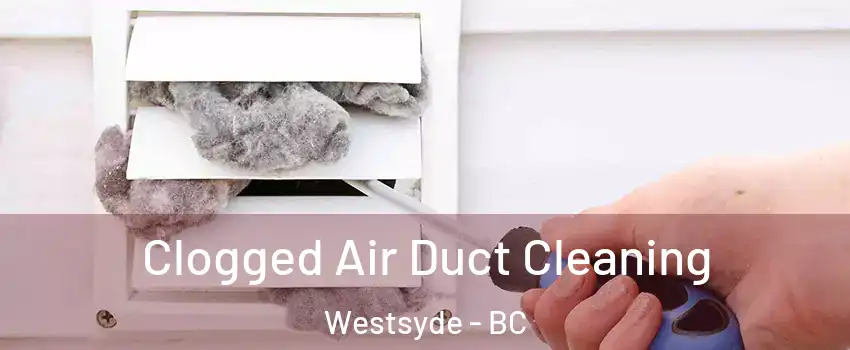 Clogged Air Duct Cleaning Westsyde - BC