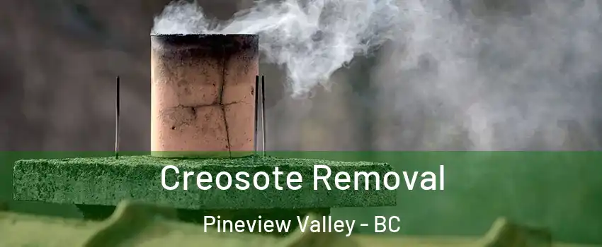 Creosote Removal Pineview Valley - BC