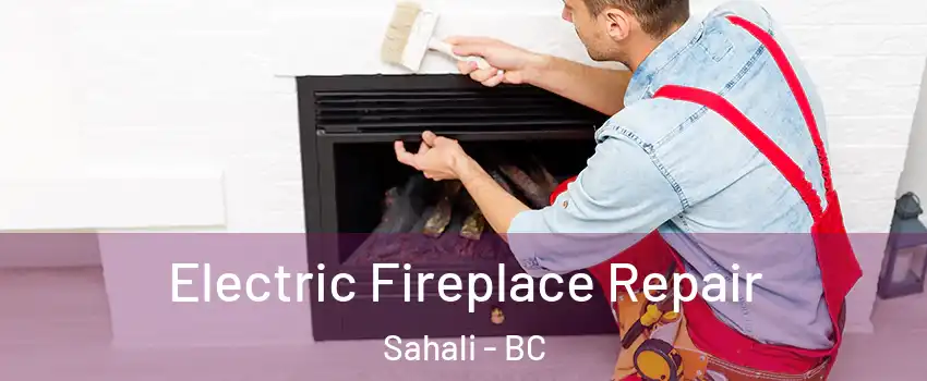 Electric Fireplace Repair Sahali - BC