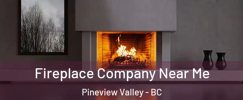 Fireplace Company Near Me Pineview Valley - BC