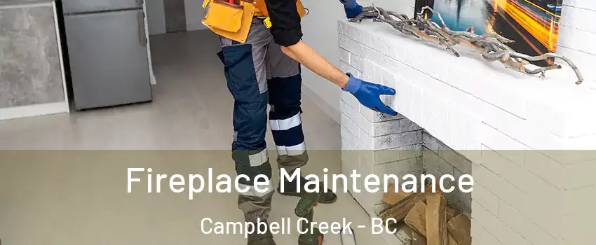Fireplace Maintenance Campbell Creek - BC