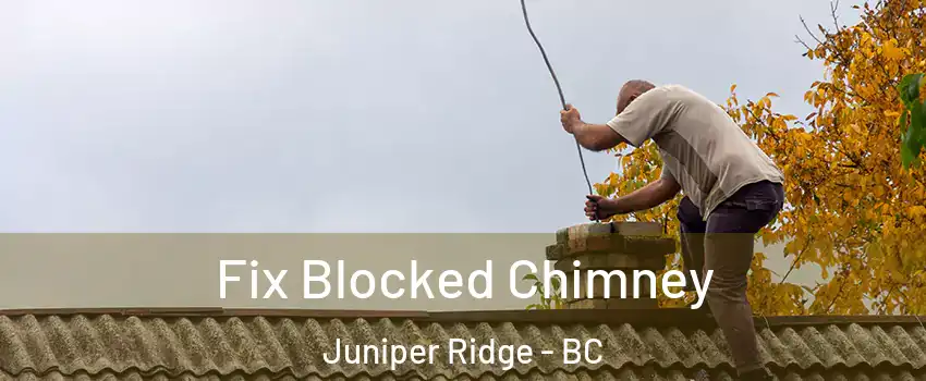 Fix Blocked Chimney Juniper Ridge - BC