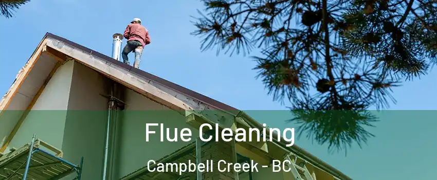 Flue Cleaning Campbell Creek - BC