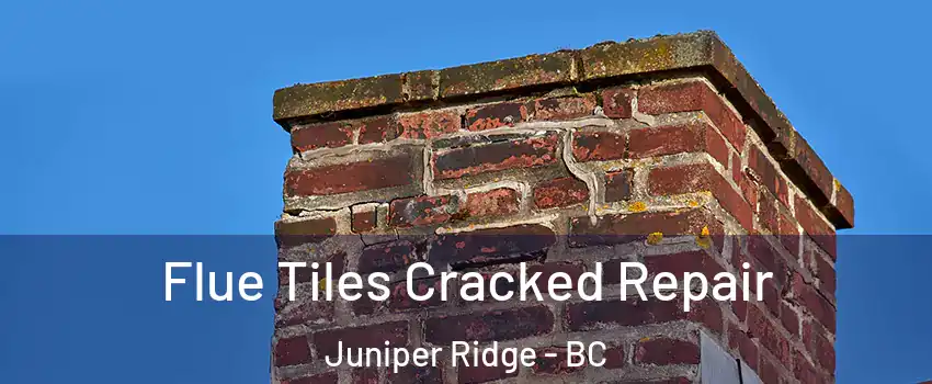 Flue Tiles Cracked Repair Juniper Ridge - BC