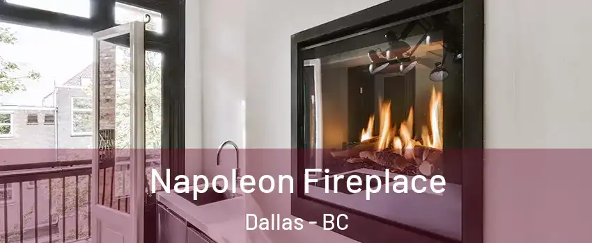 Napoleon Fireplace Dallas - BC