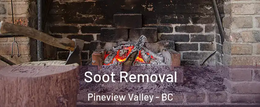 Soot Removal Pineview Valley - BC