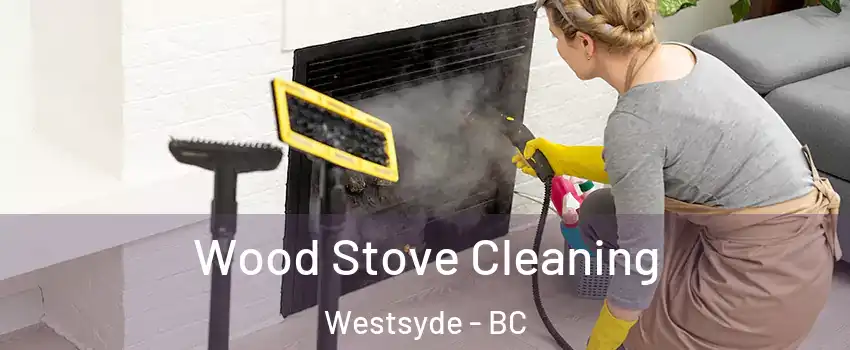 Wood Stove Cleaning Westsyde - BC