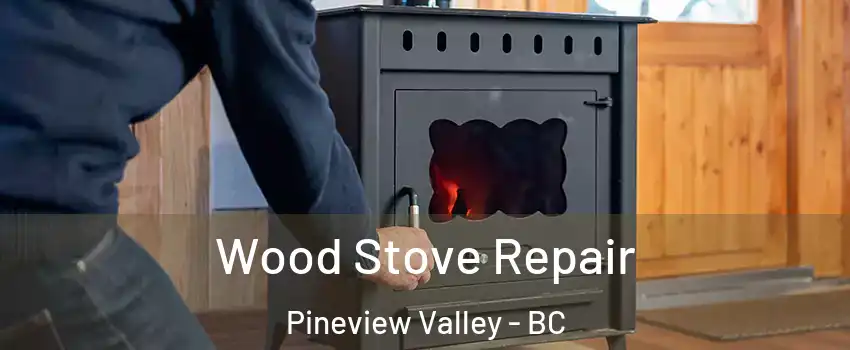 Wood Stove Repair Pineview Valley - BC