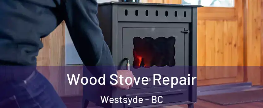 Wood Stove Repair Westsyde - BC